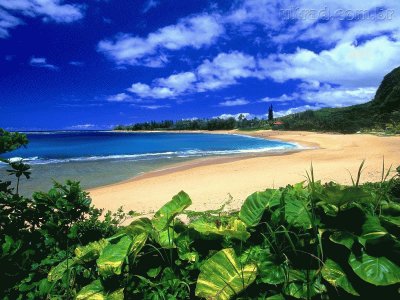 Praia jigsaw puzzle