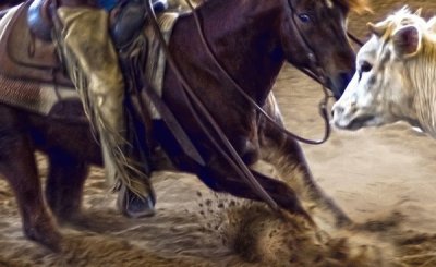 Cattle Roundup jigsaw puzzle