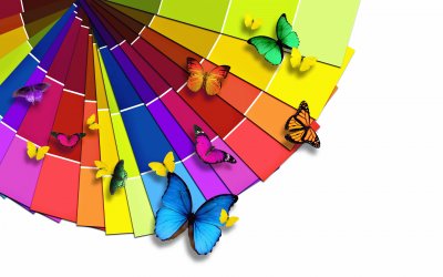 colour jigsaw puzzle