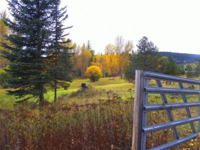 fencing jigsaw puzzle