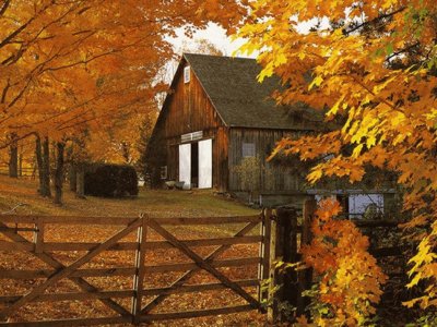 autumn country barn jigsaw puzzle