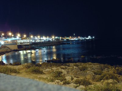 litoranea