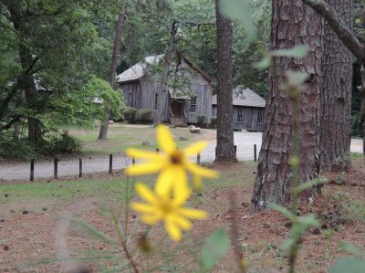 Old Church Beyond a Flower