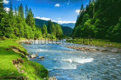 Landscape With River