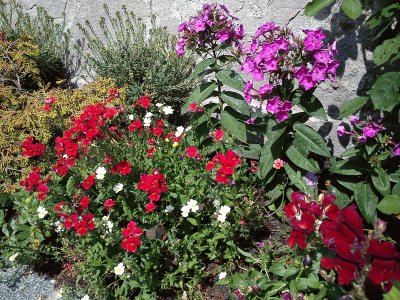 mein Garten