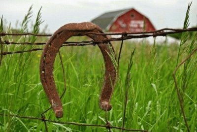 Horseshoe Scene jigsaw puzzle