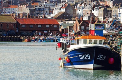 Ship in Harbor jigsaw puzzle