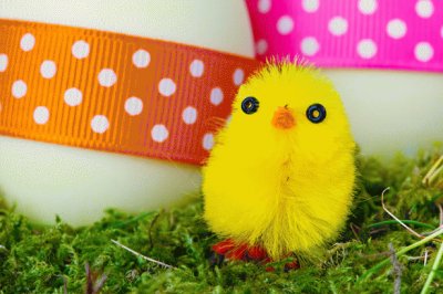 Yellow Easter Chick jigsaw puzzle