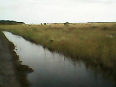 mayerlis03