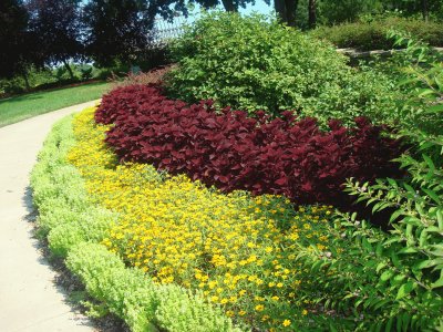 פאזל של garden garden