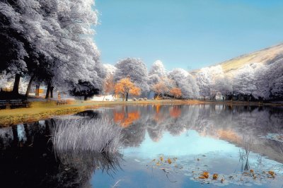 Candy floss lake reflections jigsaw puzzle