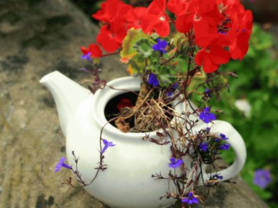 teapot flowers