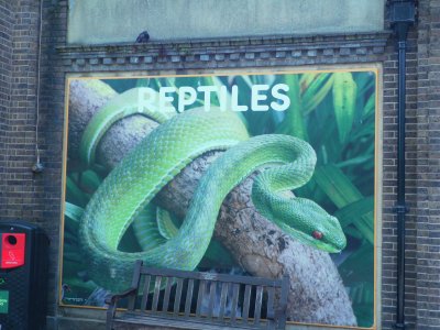 Zoo in London 2