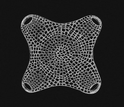 diatom