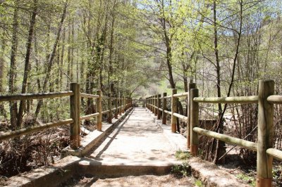 camino del parque natural Duraton jigsaw puzzle