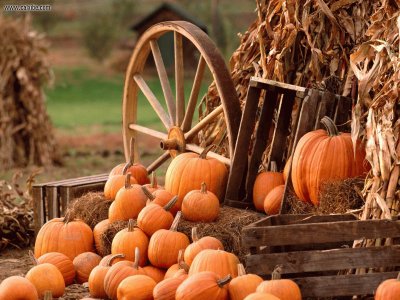 פאזל של Autumn Harvest