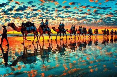 desierto y camellos