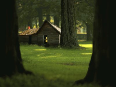 casa del bosque