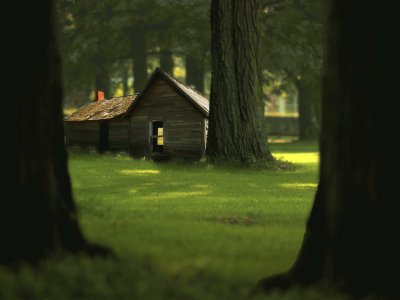 פאזל של casa del bosque