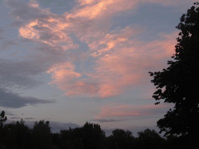 Rose coloured clouds at sunset