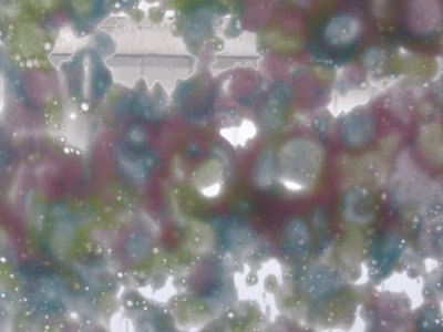 Car wash bubbles