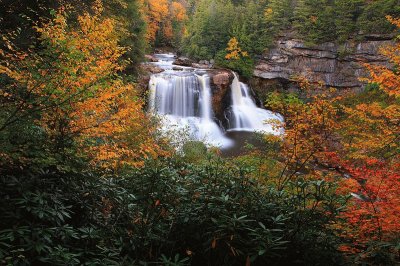 פאזל של Blackwater Falls, Virginia, U.S.