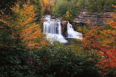 Blackwater Falls, Virginia, U.S. jigsaw puzzle