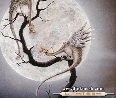 DRAGON Y LUNA jigsaw puzzle