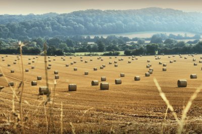 Hay Bales Herefordshire