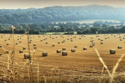 Hay Bales Herefordshire