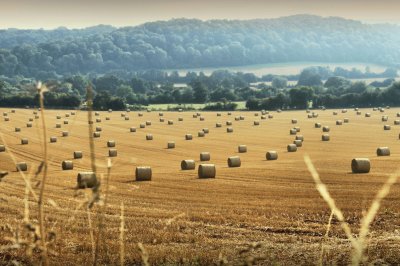 פאזל של Hay Bales Herefordshire