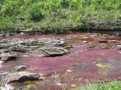 פאזל של el rio de los siete colores