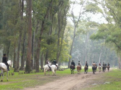 פאזל של cabalgata por el bosque