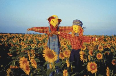 Scarecrows in a field in Kansas