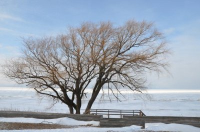 Huron