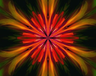 floral abstract