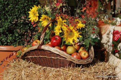 apple floral arrangement