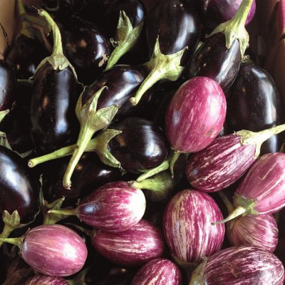 at the farmer 's market