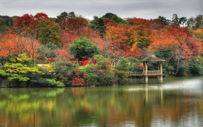 forest and dock jigsaw puzzle