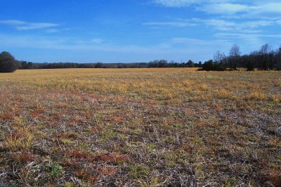 Cabarrus County Field