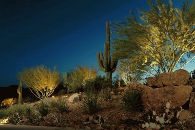 desert landscape jigsaw puzzle