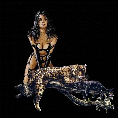 reina pantera jigsaw puzzle