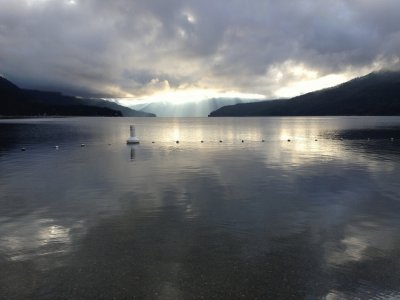 פאזל של Early Morning at Harold Park, BC, Canada