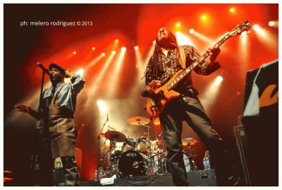 LIVING COLOUR jigsaw puzzle