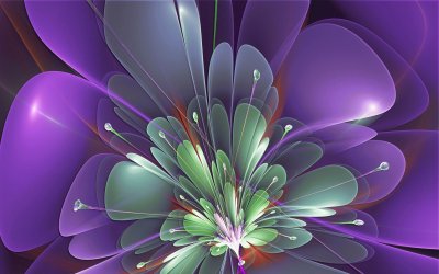 violets