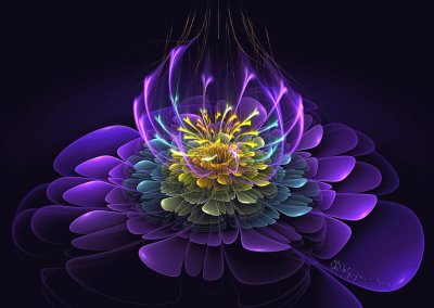 blooming essence