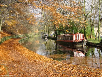 fall along the canal