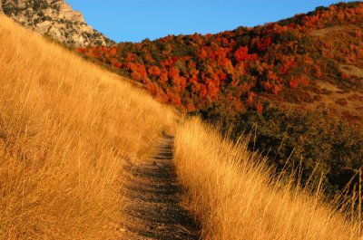 autumn country jigsaw puzzle