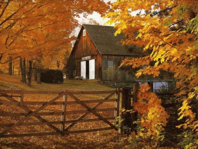 autumn country side