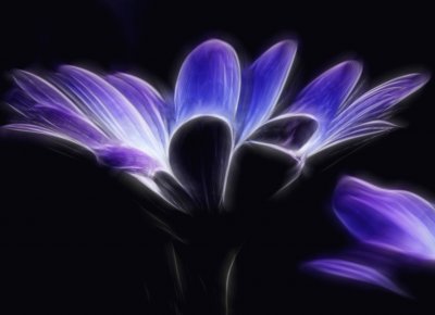 fractal flower
